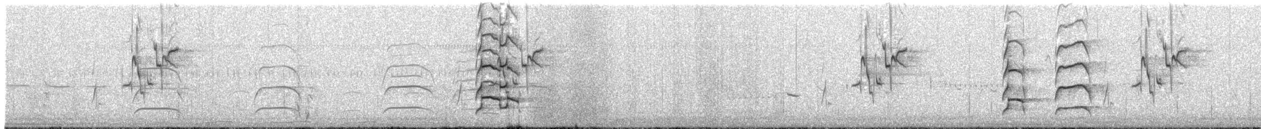 Aguilucho de Azara - ML644557170