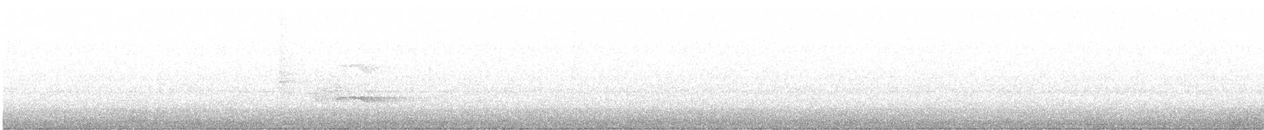 Búho Americano - ML644557254