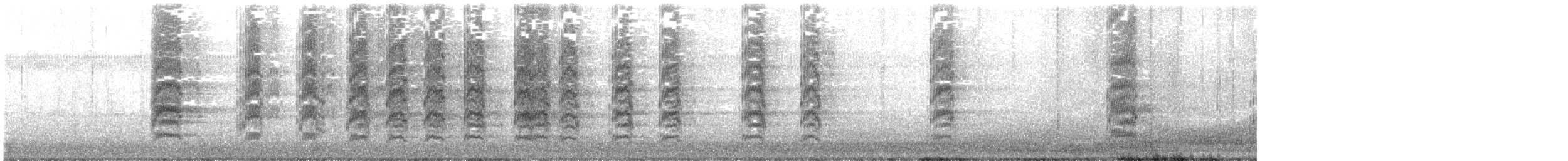 Nanday Parakeet - ML644557264