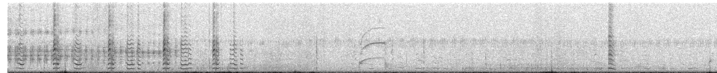 White-winged Coot - ML644557690