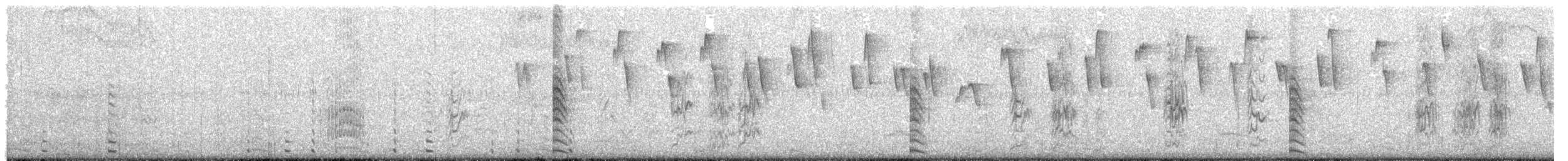 White-winged Coot - ML644557691