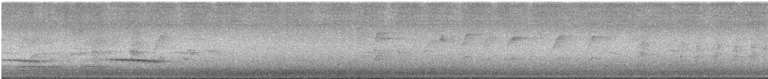 Fan-tailed Cuckoo - ML644557845