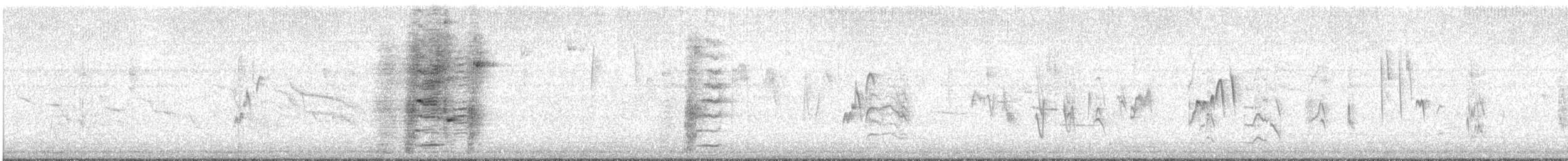 Common Grackle - ML644557878