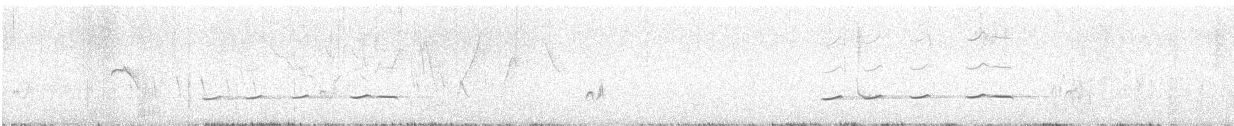 Striped Cuckoo - ML644558082