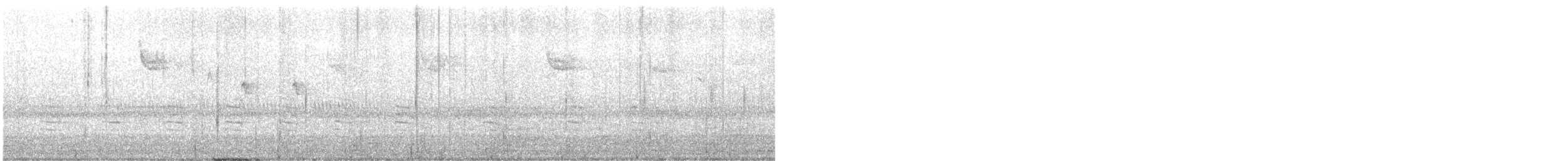 Red-breasted Nuthatch - ML644558129