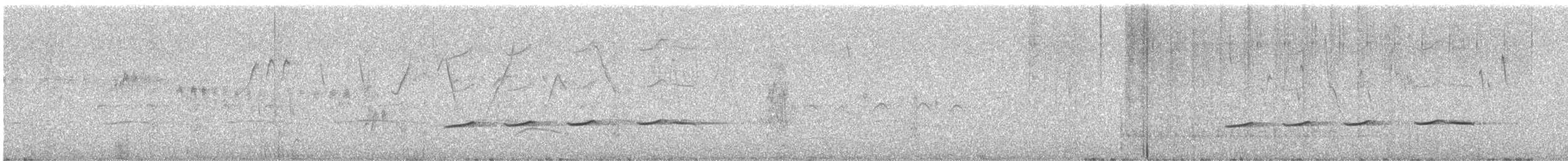 Striped Cuckoo - ML644558175