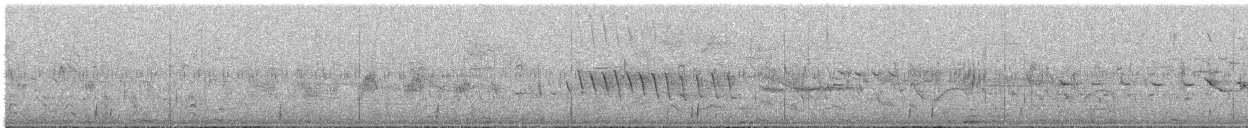 Black-headed Duck - ML644558350