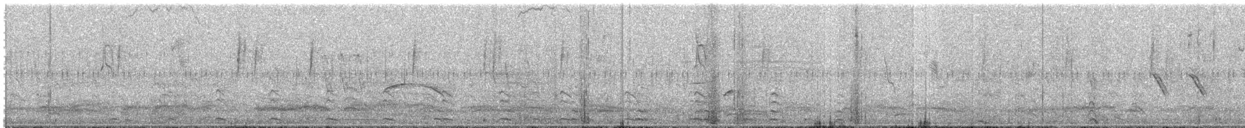 Red-gartered Coot - ML644558364