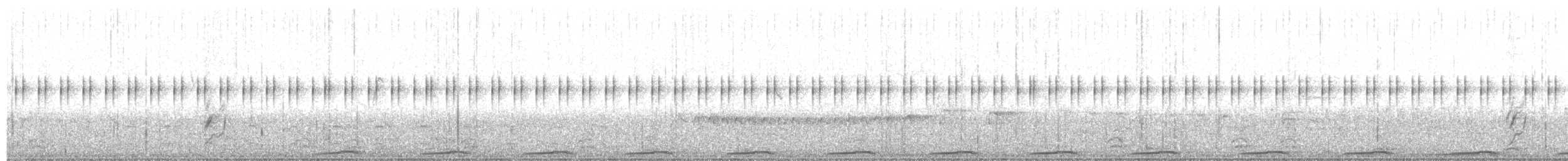 holoubek pikui - ML644558581