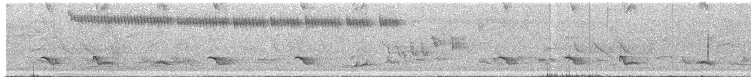 Creamy-bellied Thrush - ML644559385