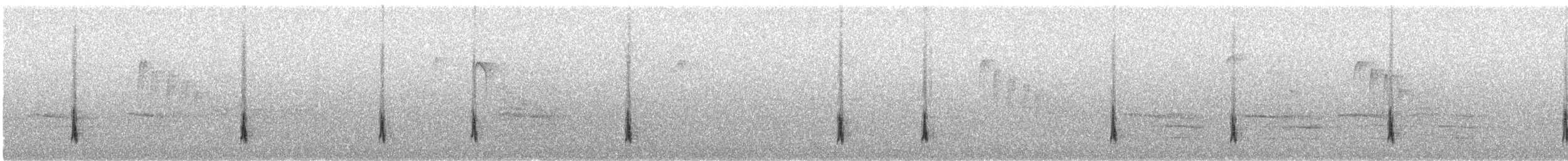 Hermit Thrush - ML644559572