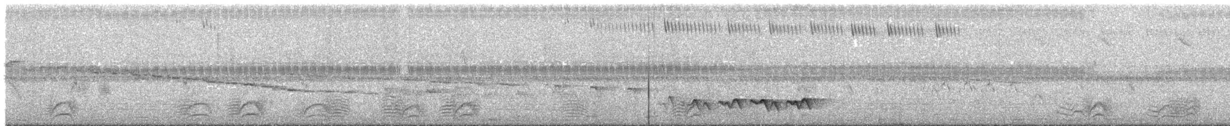 Variable Antshrike - ML644560250