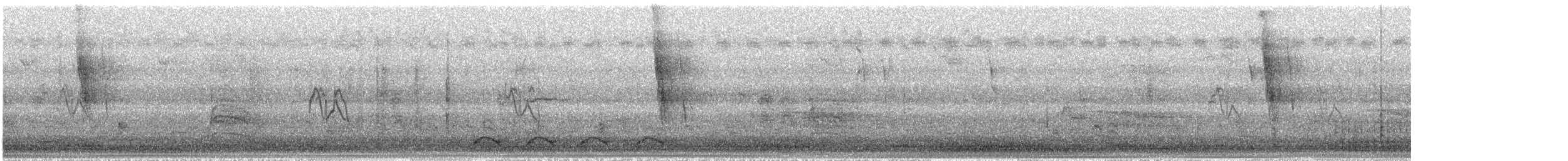 Pine Siskin - ML644561286