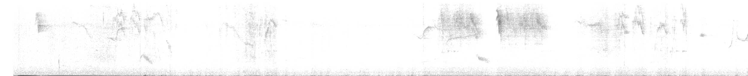 Gray-cheeked Thrush - ML644561530