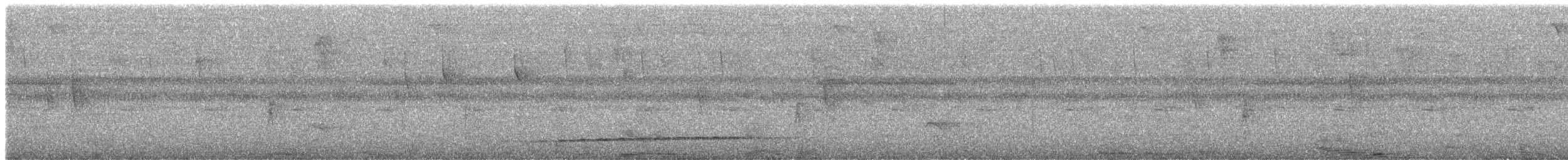 Thicket Antpitta - ML644561563