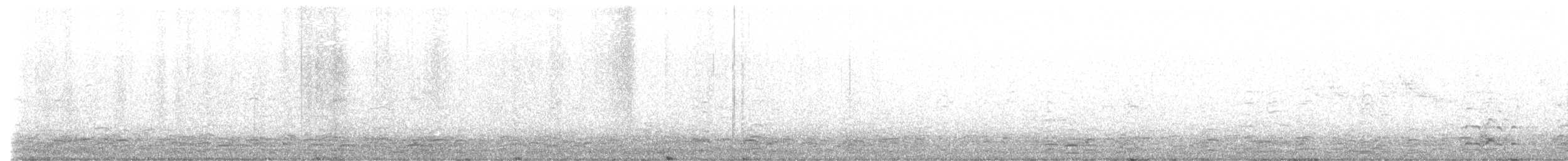 Greater White-fronted Goose (Greenland) - ML644561920