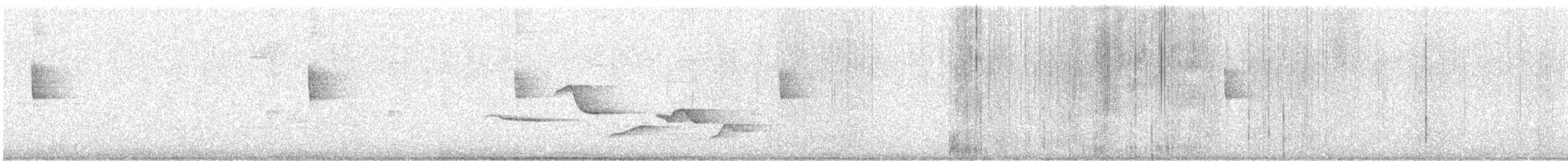 Fleckenbrust-Zaunkönig - ML644562066