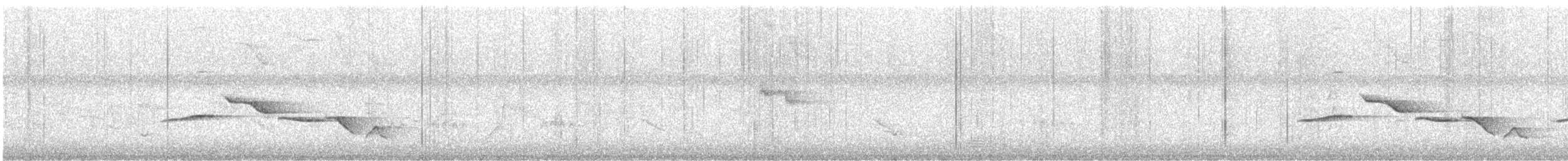 Fleckenbrust-Zaunkönig - ML644562833