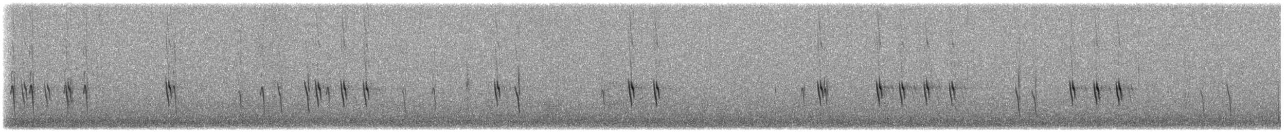 Red Crossbill (Lodgepole Pine or type 5) - ML644563238
