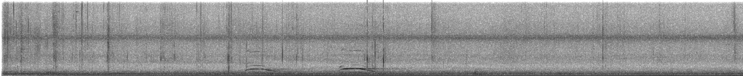 Collared Forest-Falcon - ML644563255