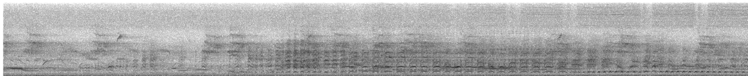 Laughing Kookaburra - ML644564627