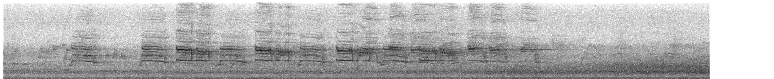 Magpie-lark - ML644564636