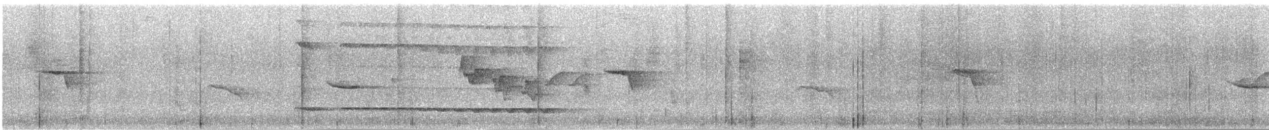 Mayan Antthrush - ML644565117