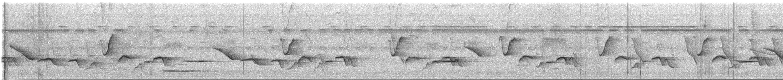 Fleckenbrust-Zaunkönig - ML644565676