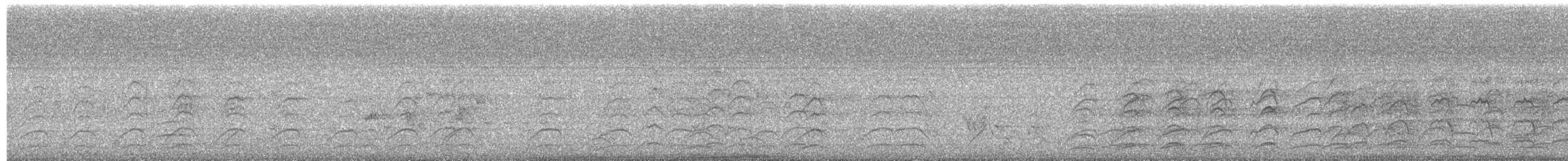 Noisy Miner - ML644565949