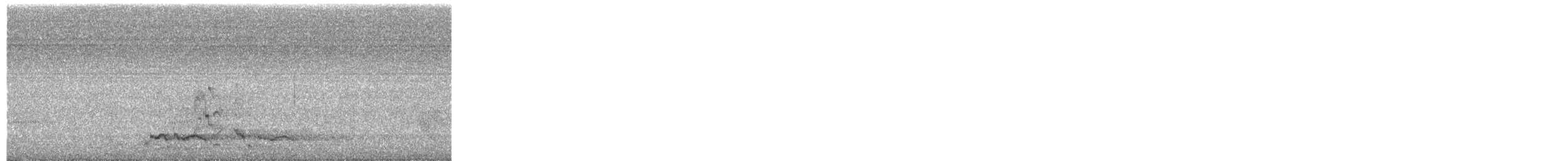 Pied Currawong - ML644565954