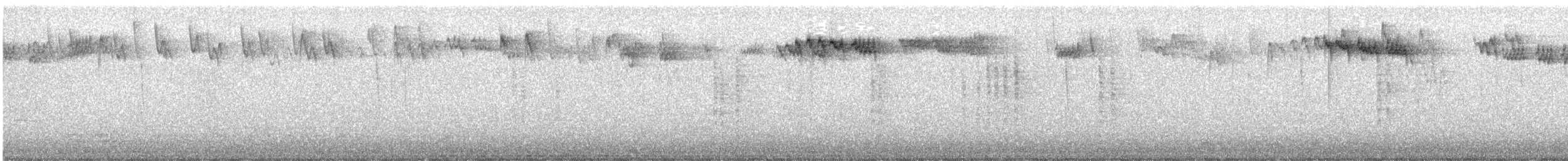 Erregetxo amerikarra - ML644566520