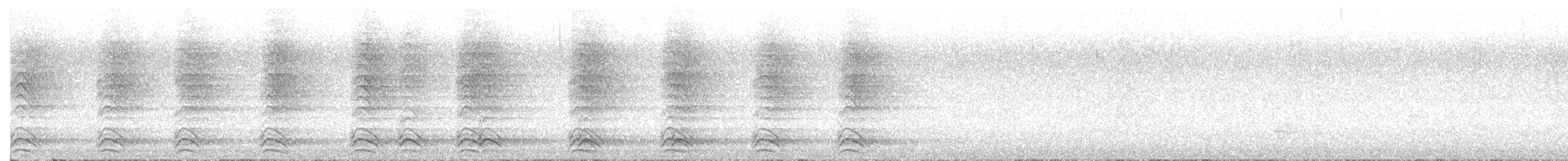 Corneille d'Amérique - ML644566944