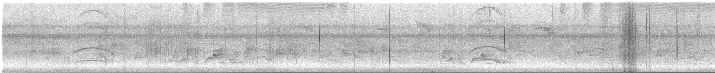 オリーブヒタキモドキ - ML644567401