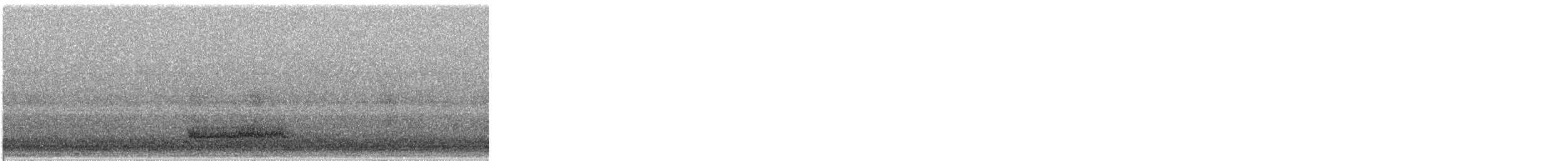 American Barn Owl - ML644567447