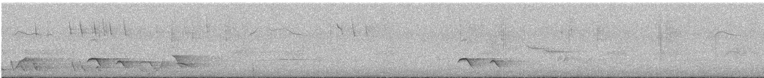 タスマニアヒタキ - ML644567565