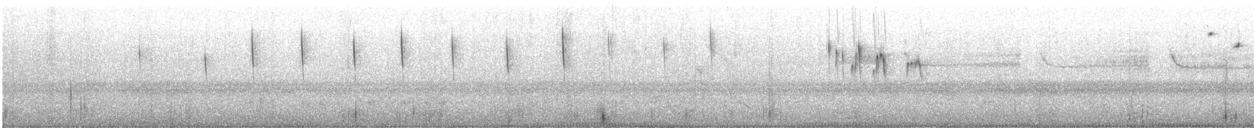 brunseiler - ML644567581