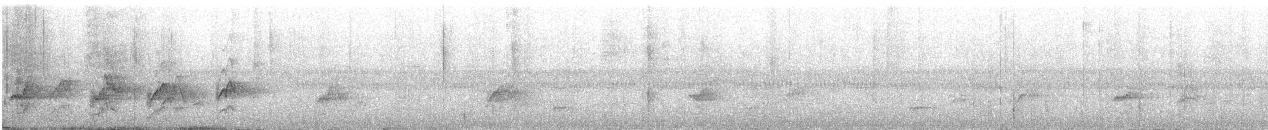 Barred Parakeet - ML644567696