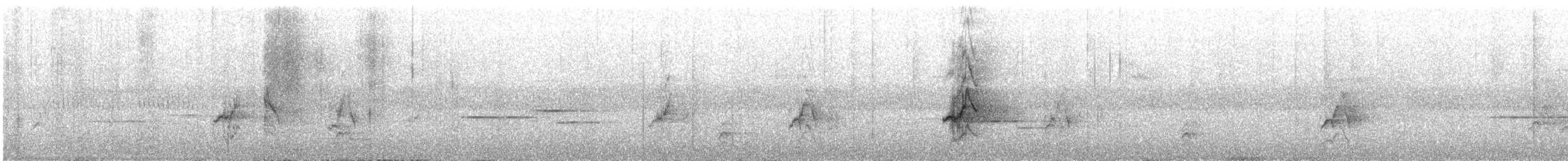 Barred Parakeet - ML644567697