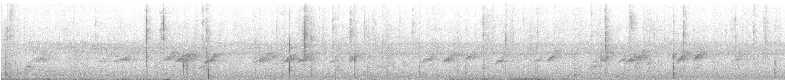 Barred Parakeet - ML644567698