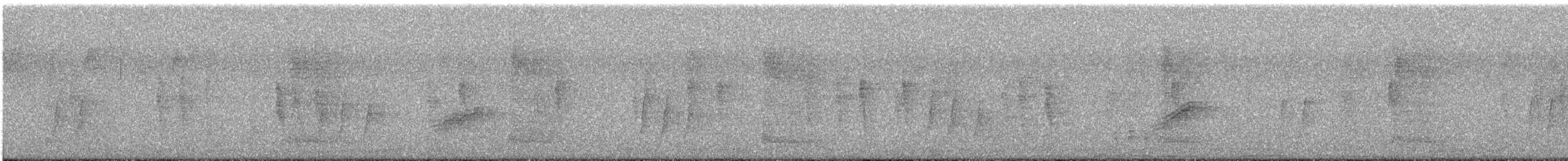 Wood Thrush - ML644567823