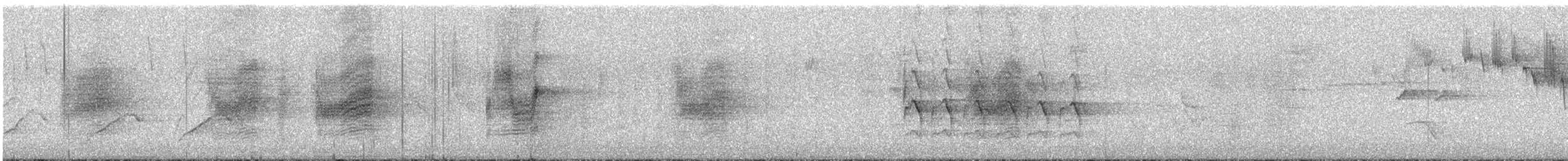 Satin Flycatcher - ML644568241