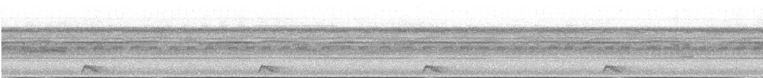 ユカタンヨタカ - ML644568307