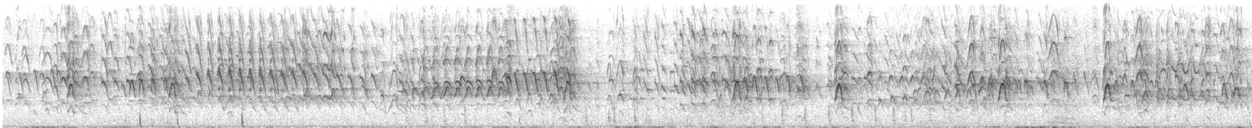 Black-bellied Whistling-Duck - ML644568318