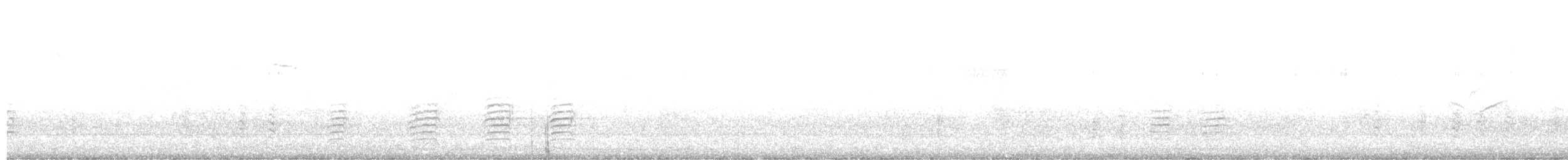 ヒメレンジャク - ML644568740