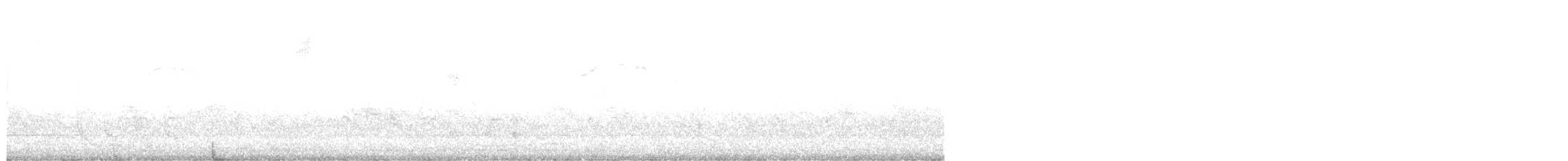 ヒメレンジャク - ML644568747