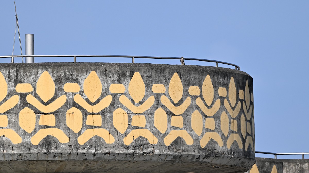 Kerkenez - ML644568974