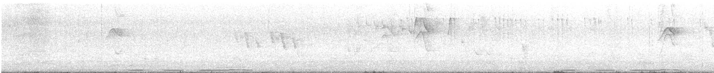 West Peruvian Dove - ML644569357