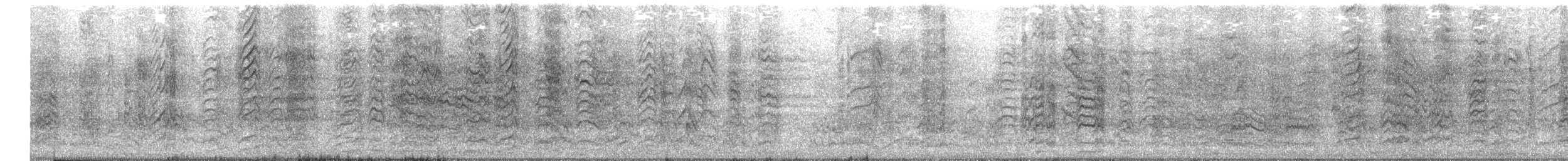 Cordilleran Parakeet - ML644569423