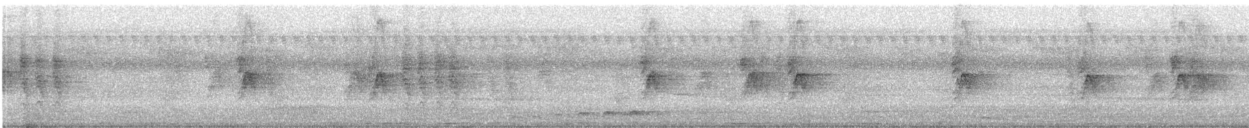 House Sparrow - ML644570386