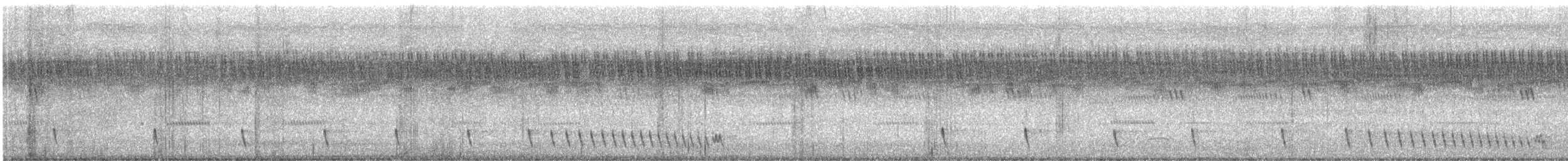 Chotacabras Hindú - ML644570453